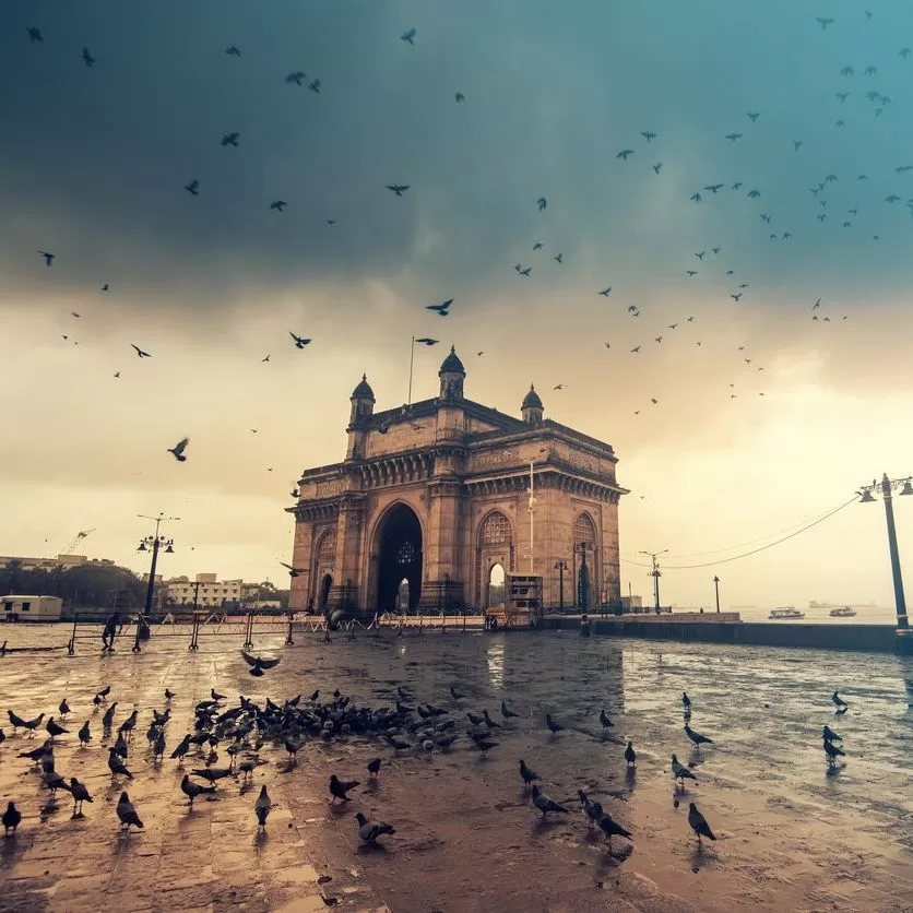 The Gateway of India stands by the waterfront under a cloudy sky, with numerous pigeons on the wet ground and others flying around the historic monument in Mumbai. - Lead Experts